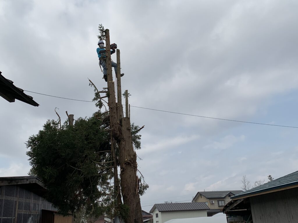 昨日の作業